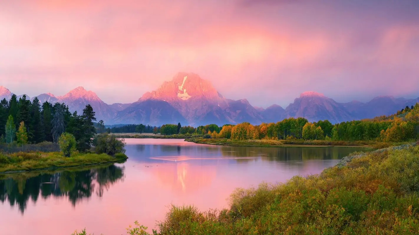 高效绿色